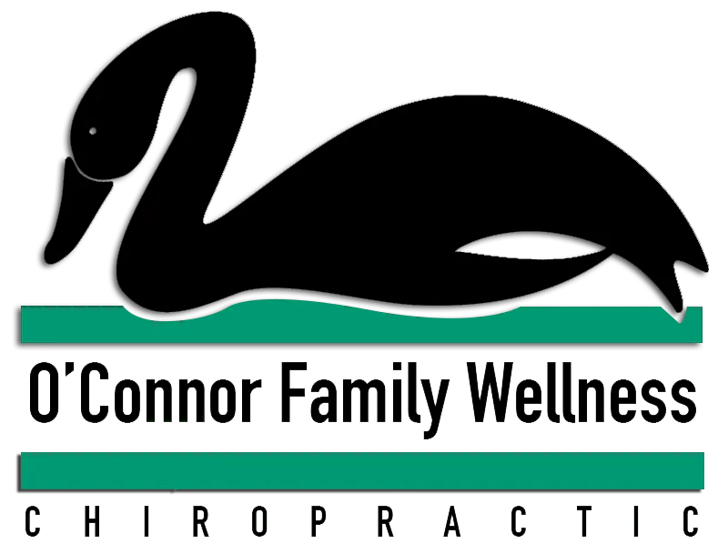 O'Connor Family Wellness Chiropractic logo featuring a black swan silhouette above teal horizontal bars with text